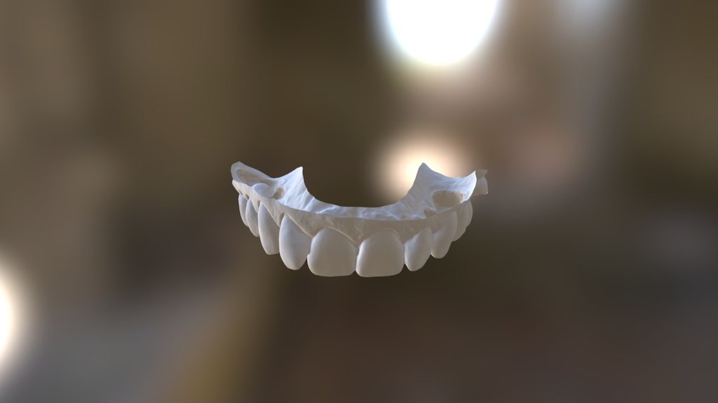 Marta Upper Jaw