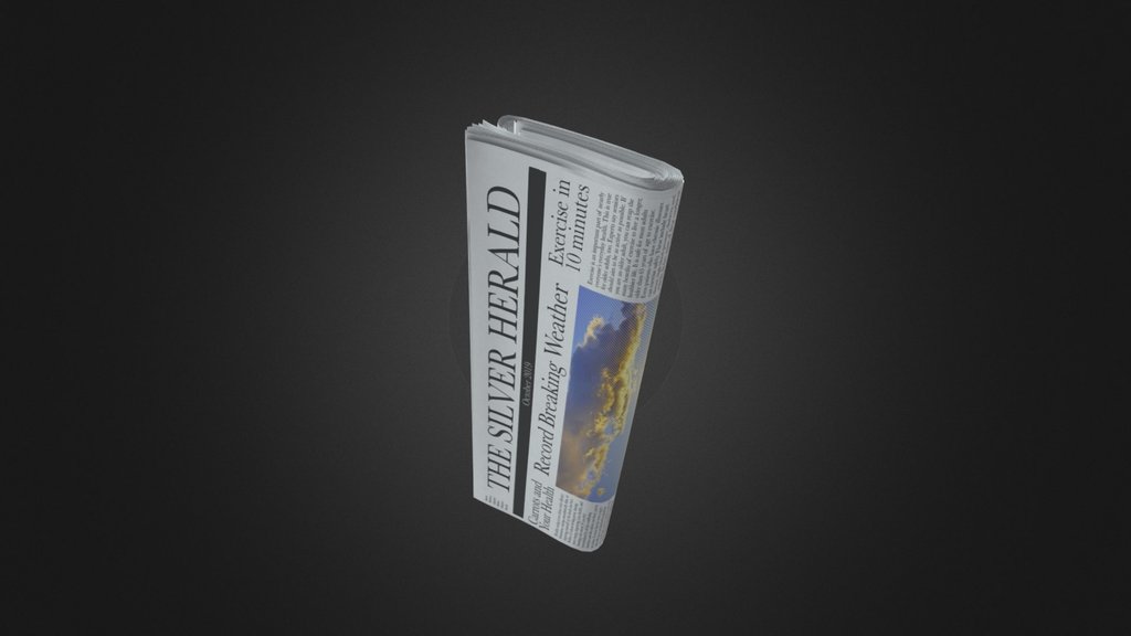 Newspaper