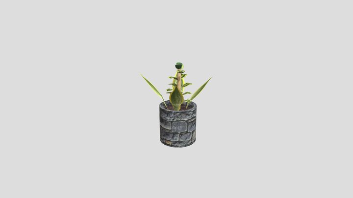 plant texture 3D Model