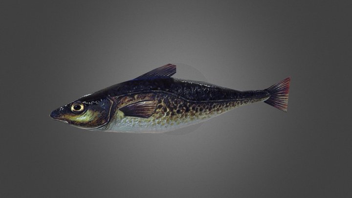 Lowpoly Fish – Modello 3D gratuito STL
