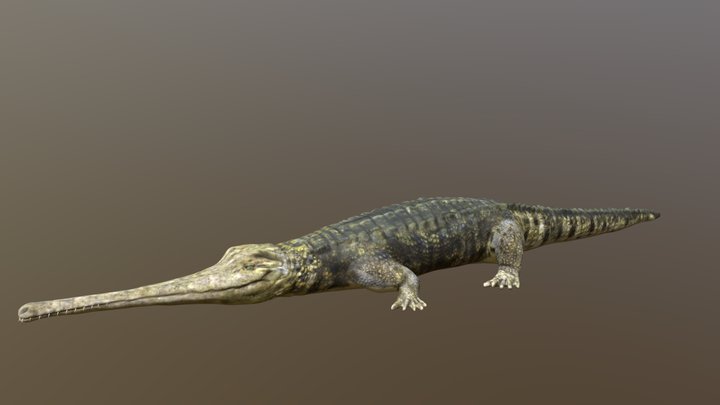 Teleosaurus