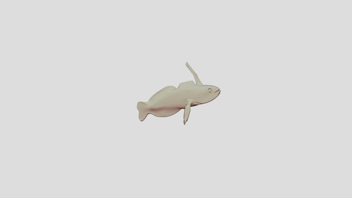 Dart Fish 3D Model