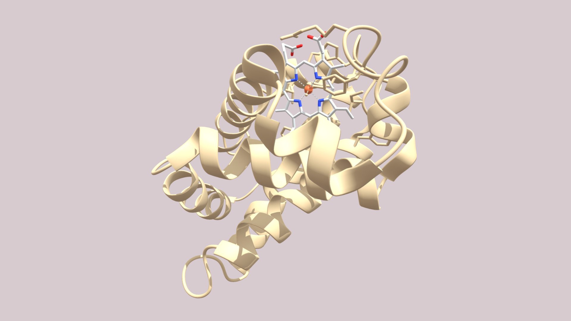 Myoglobin Molecular Structure - Download Free 3D Model By S.Duce ...