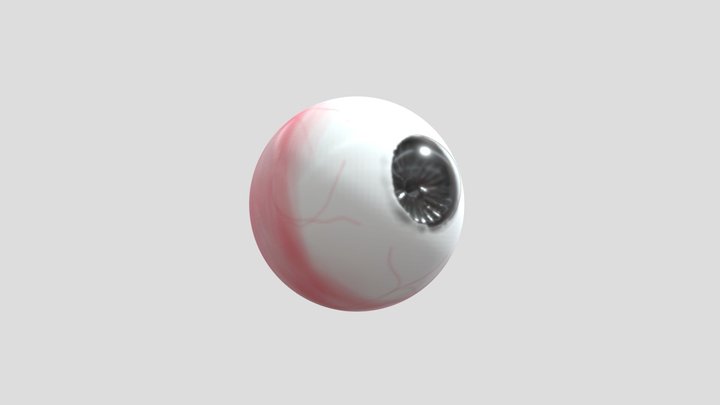 Human Eye 3D Model