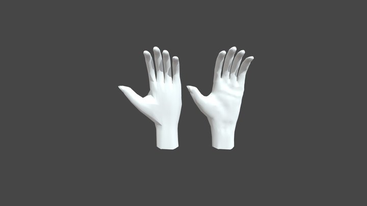 Hand 3D Model