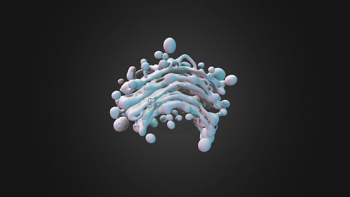 Aparato de Golgi 3D Model