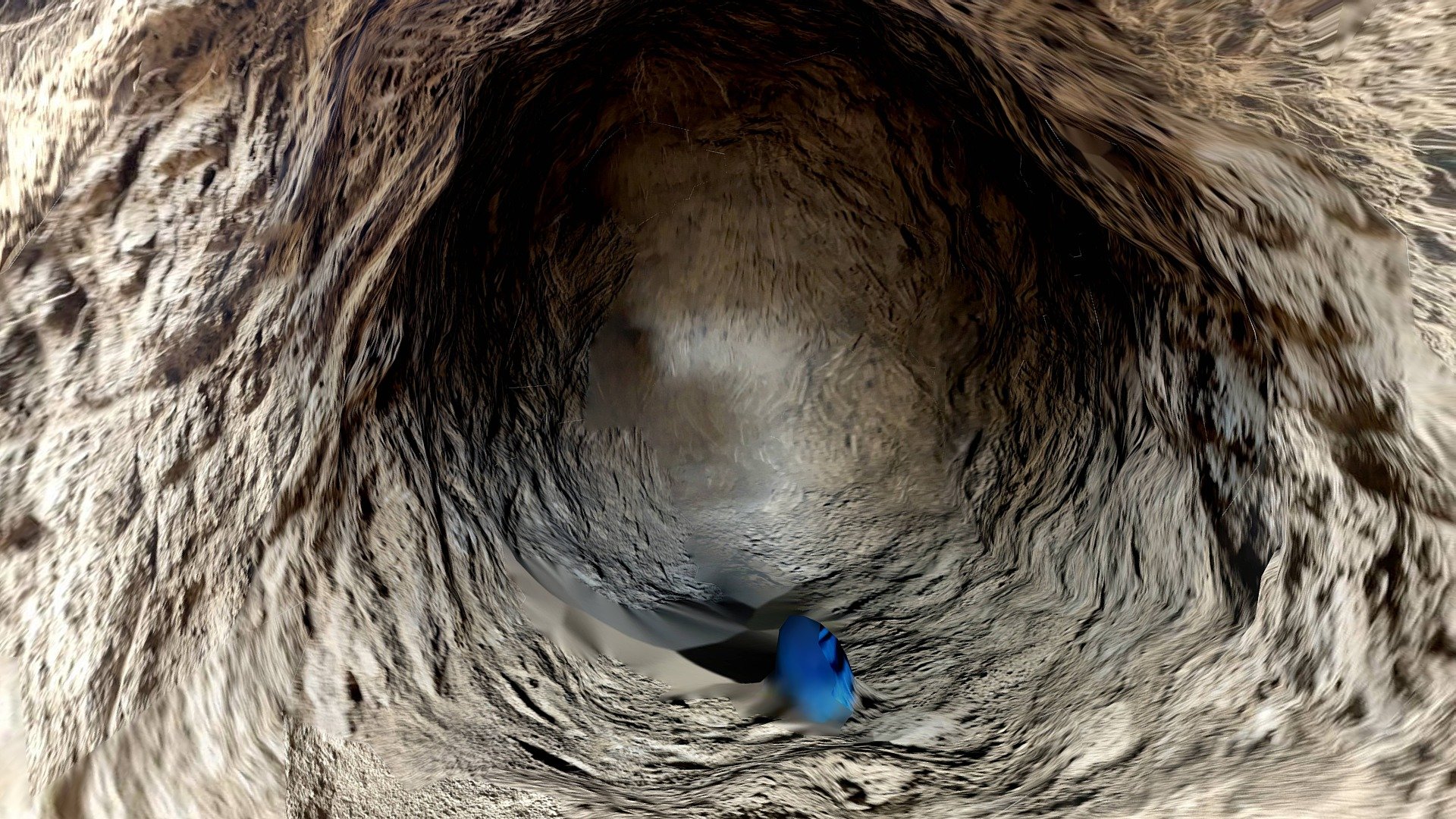 Bear den