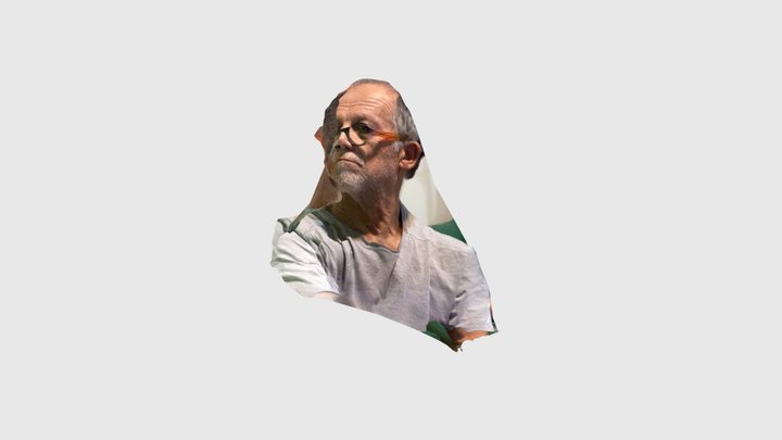 Face1 3D Model