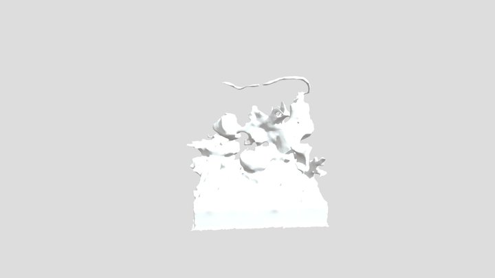Blender-cropped scanned object 3D Model