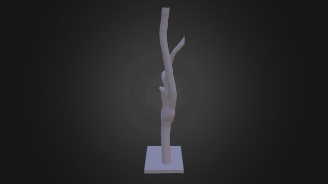 Normalcarotis 3D Model