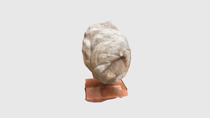 Prieba 3D Model