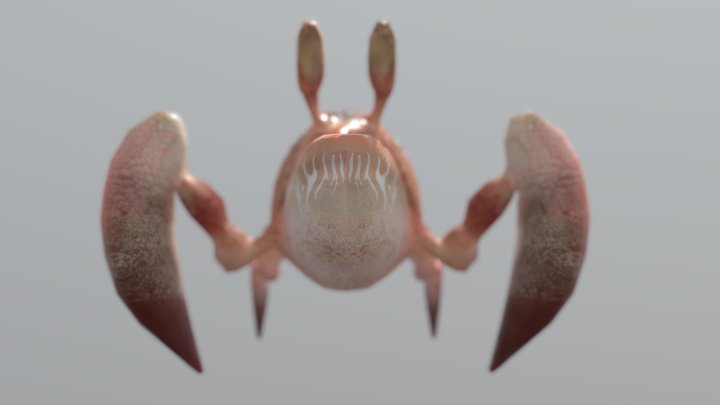 Dog Crab from Nomad sculpt 3D Model