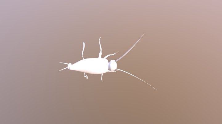 אוחיון נועה חרק מצוי (בית) 3D Model