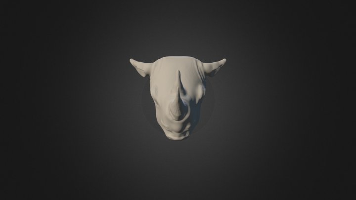 Rhino 3D Model