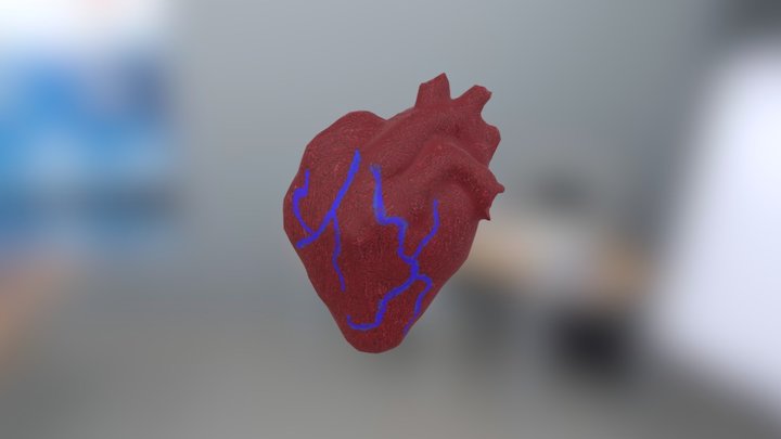 Heart 3D Model