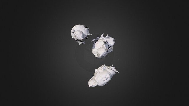 Bodhisattva Head 3D Model