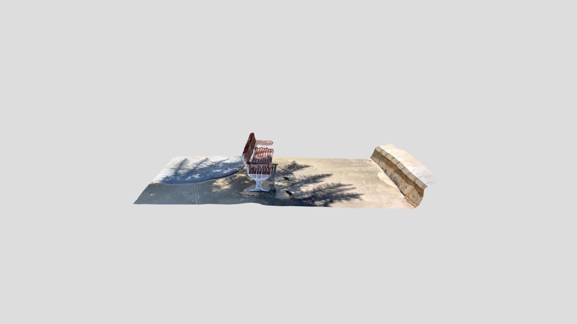 Park Bench under Norfolk Island Pine Shade