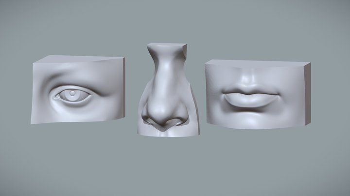 Human Mouth, Eye and Nose Reference - Study Pack 3D Model