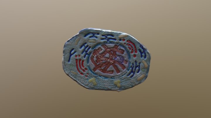 Mitosis Stage 2 3D Model