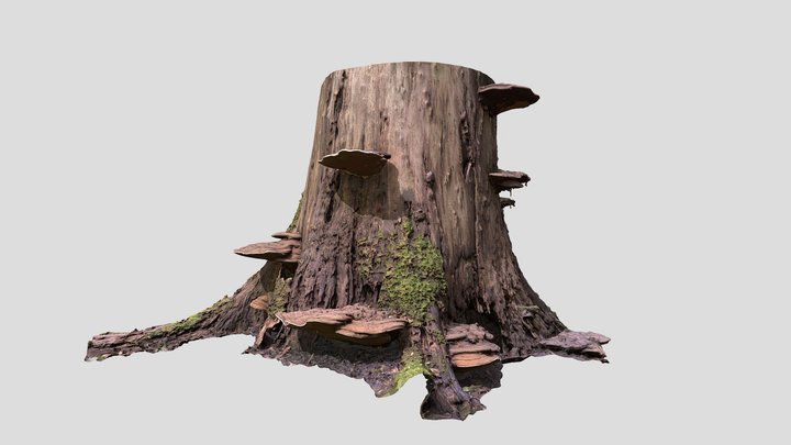 Musroom Tree 3D Model