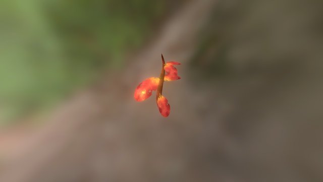 General Plant 3D Model