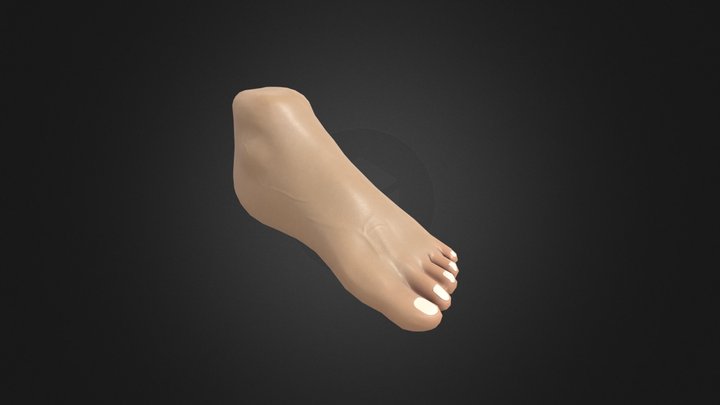 Foot Sculpt 3D Model