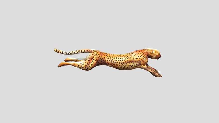 32025 3D Model
