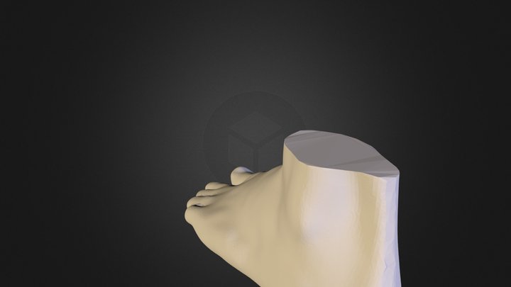 Scanme Foot 3D Model