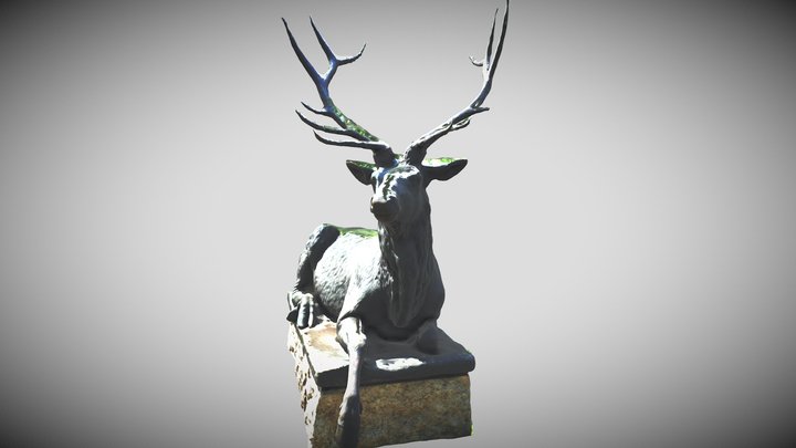 Deer / Liegende Wapiti-Hirsche 3D Model
