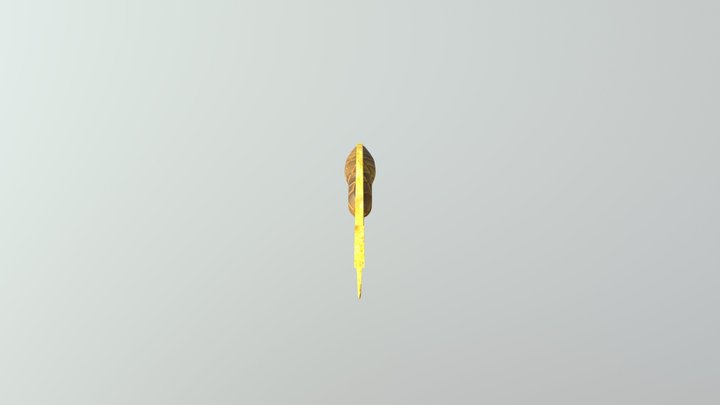 Gut 3D Model