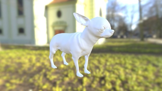Dog-Chihuahua 3D Model