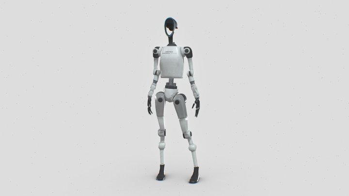 Meet: Mira 3D Model