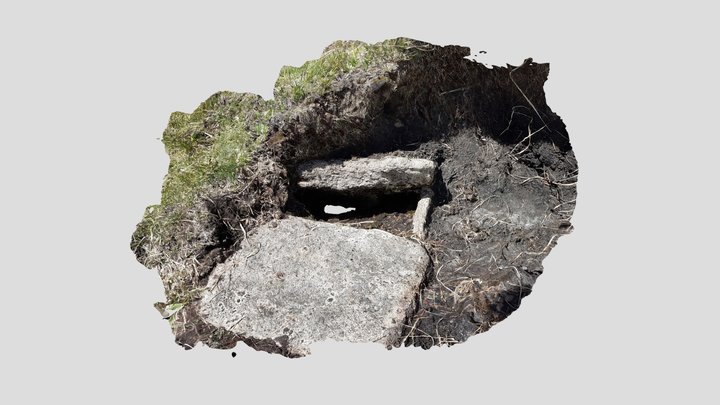 Cist_02 3D Model