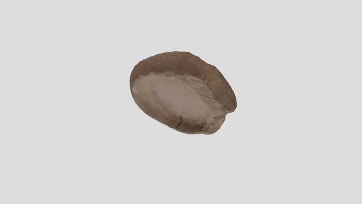 Pedazo de Batán 3D Model