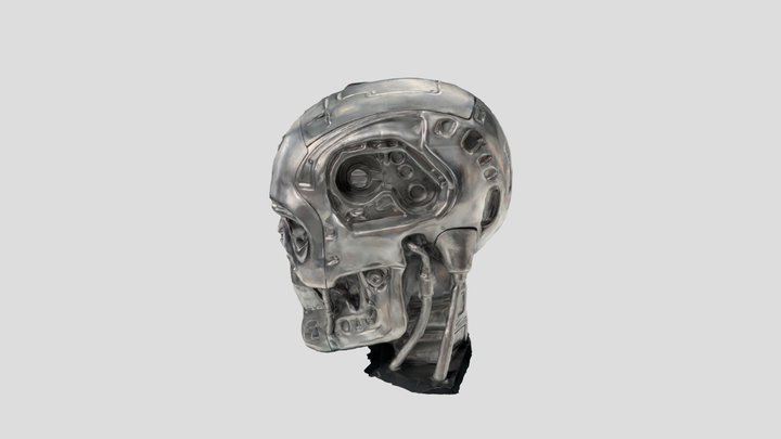 Timthedimsim 3D Model