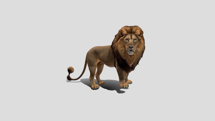 King Lion Regal Stance – Modèle 3D gratuit STL