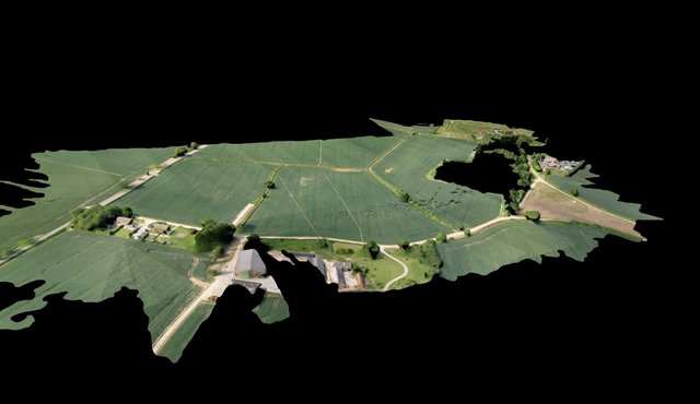High Tree Field full process 3D Model