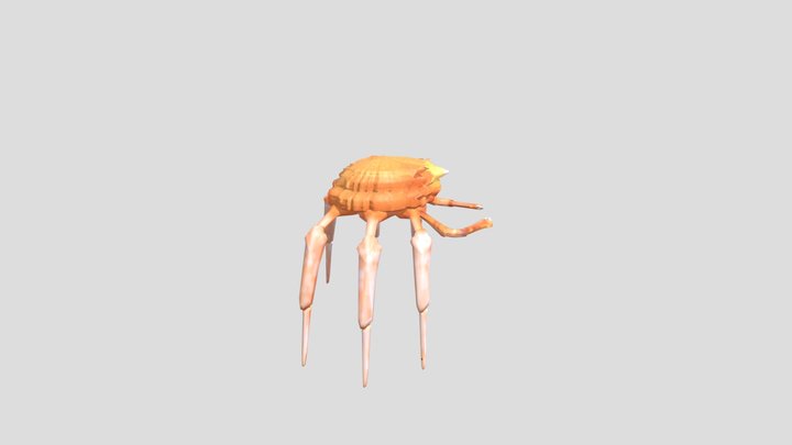 Spider Crab 3D Model