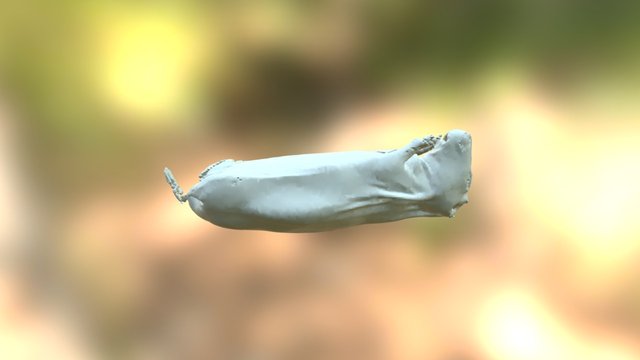 Mouse Outside 2 3D Model