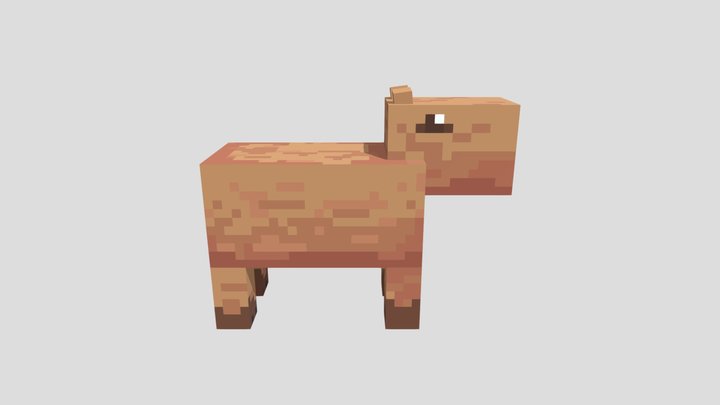 Capybara 3D Model