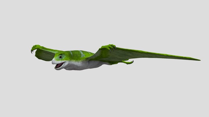 Anurognathus – Free 3D Model STL
