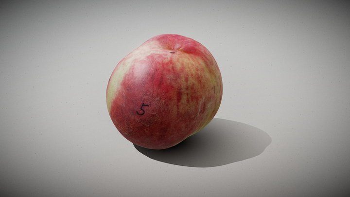 peach export 3D Model