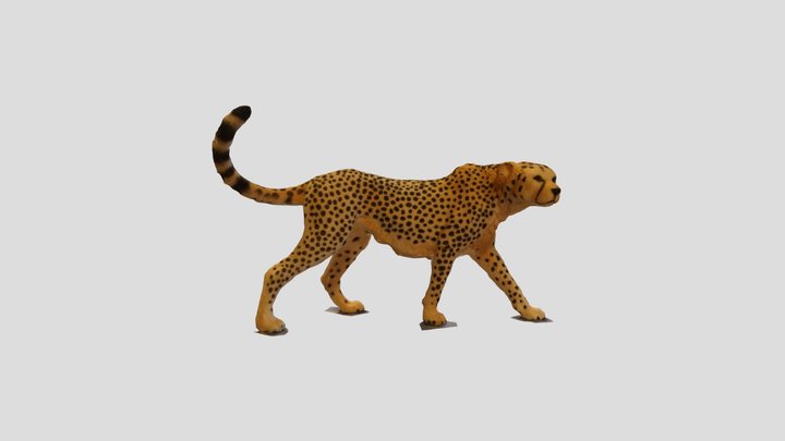 Gepard Scan 3D Model