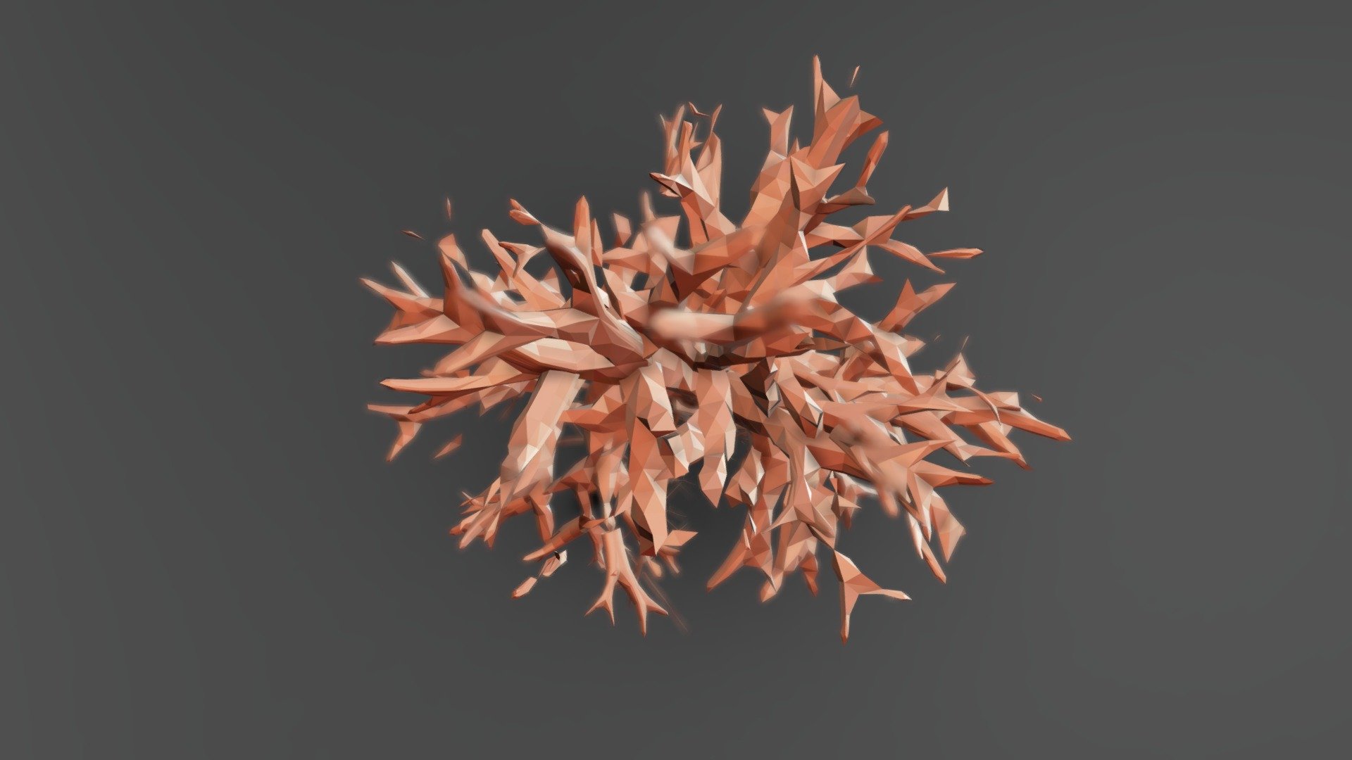 Sculpt January 2020 Jan 30 - Everything