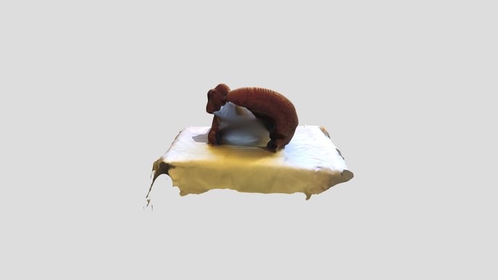 TORSO 3D Model