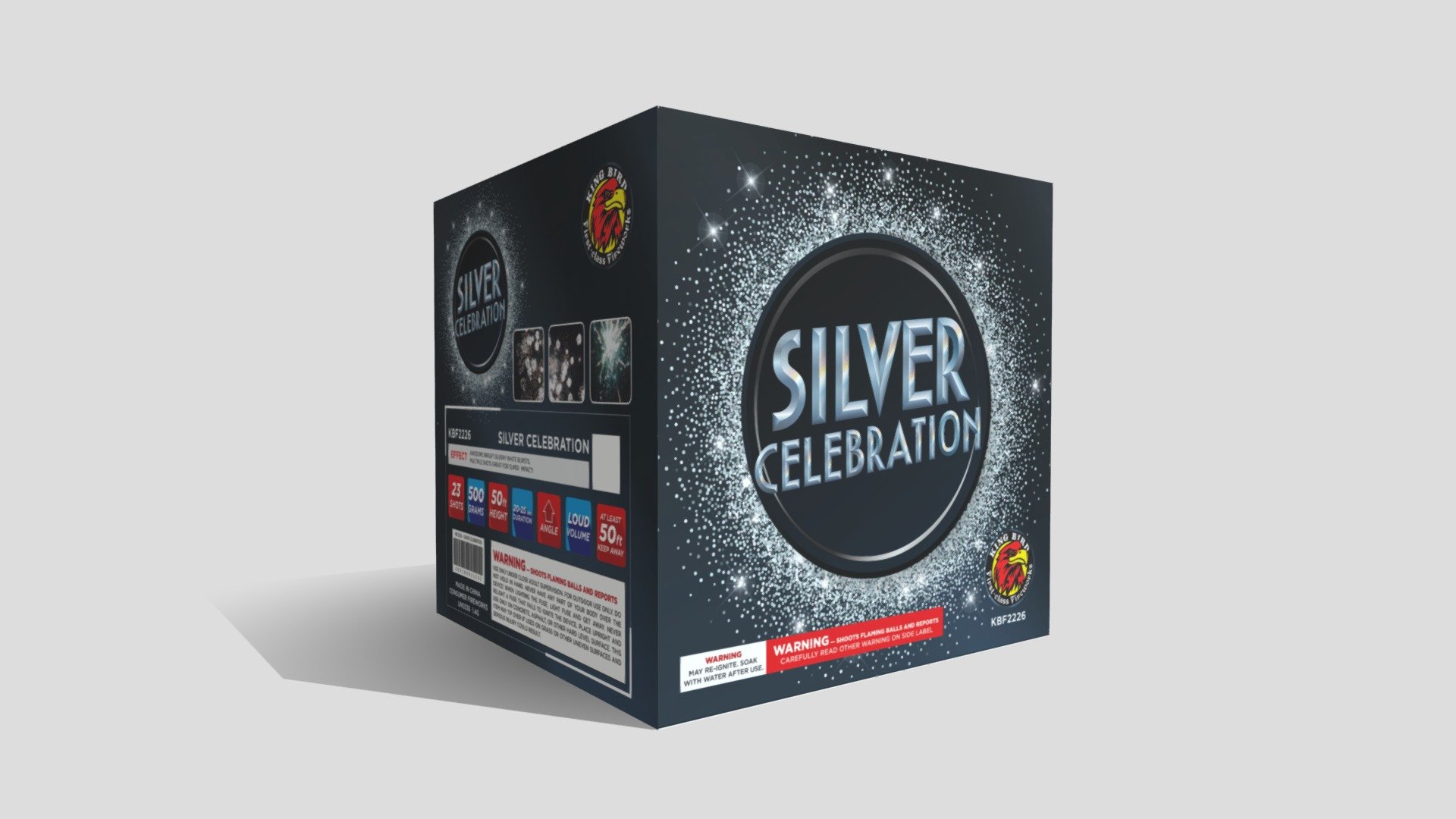 Silver Celebration