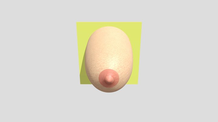 Breast 3D Model