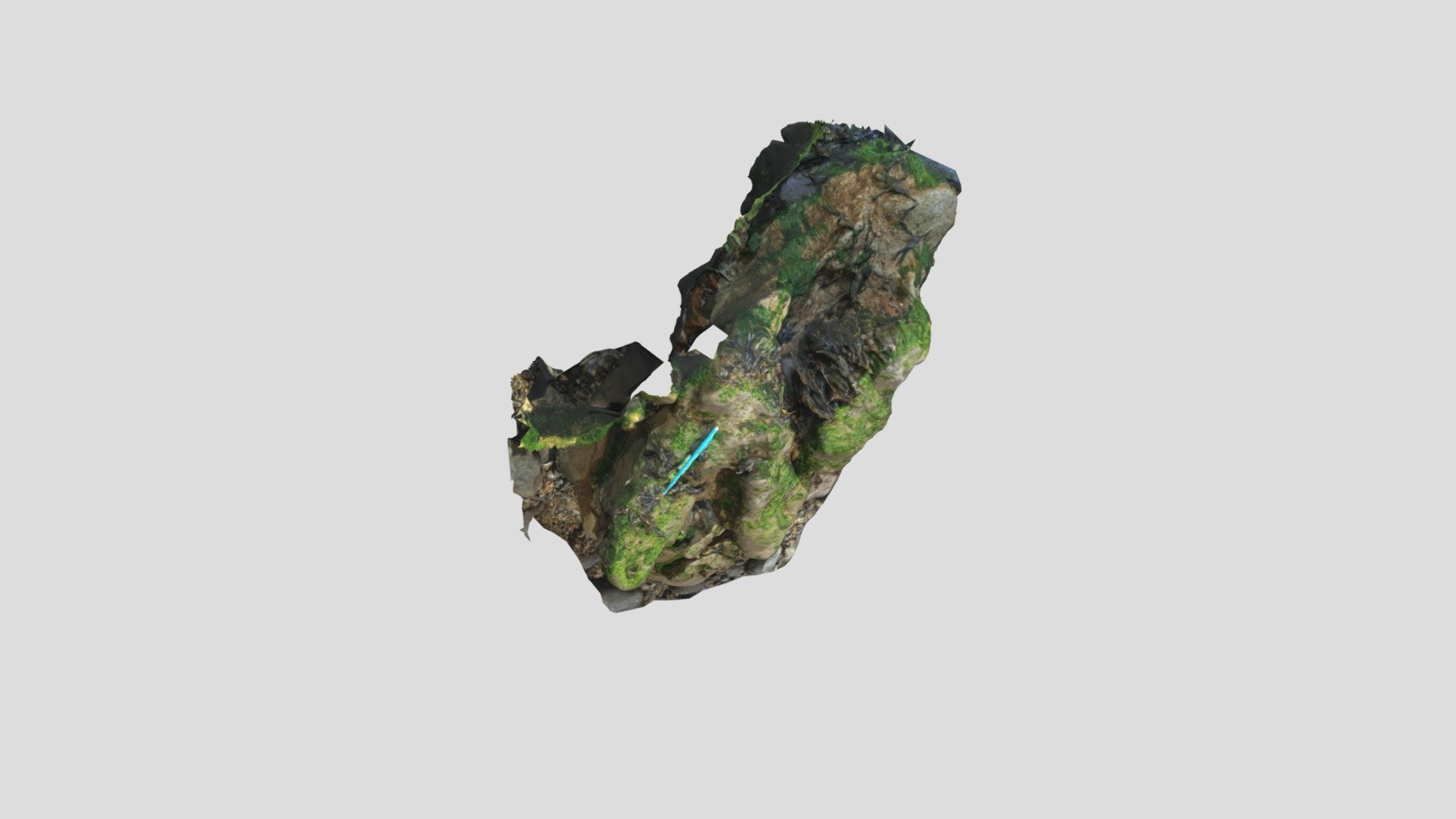 Hanover Point Dinosaur Footprint - 3D model by cait_o_saurus [84ceaf5 ...