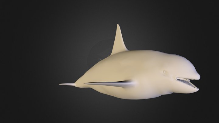 Shark V003 3D Model