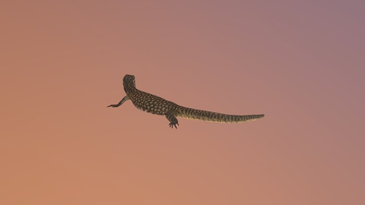 Spiny Tailed Monitor 3D Model